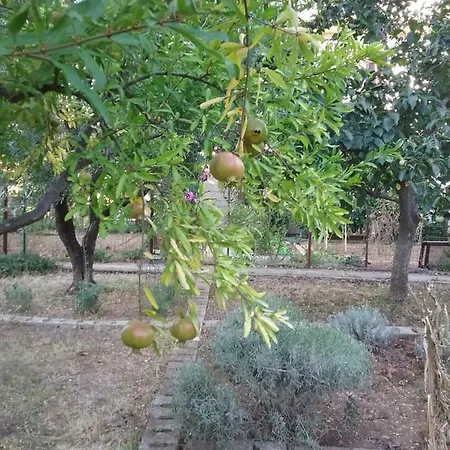 Ozad Arene Appartement Pula