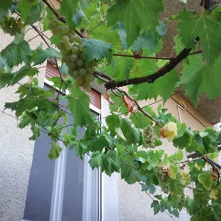 Apartman Ozad Arene Pula